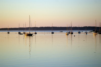 Sail boats at sunset