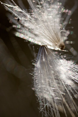 g6/50/567150/3/69503722.B9W4KP57.jpg