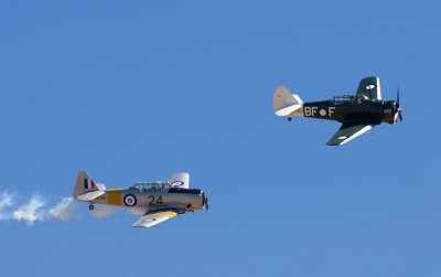 Harvard & Wirraway