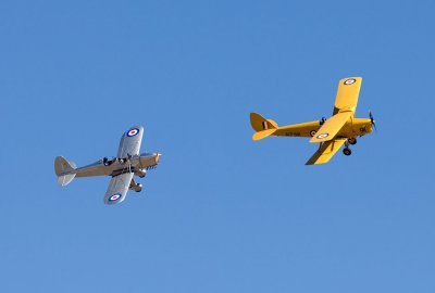 Tiger and Ryan