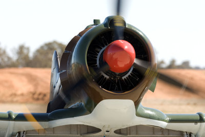 Radial Beauty