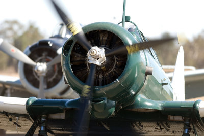 Radial Thunder