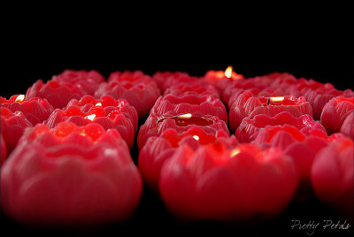 Red, Burning Lotus