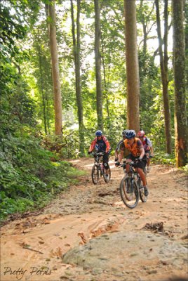 Cyclist Up The Jungle Trail