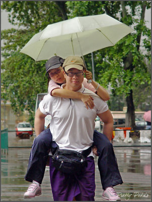Love Birds Under An Umbrella