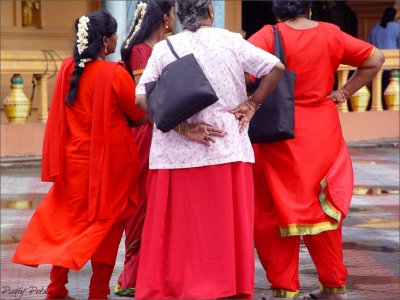 Ladies In Red