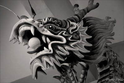 The Dragon's Head