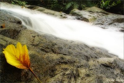 The Flowing Water