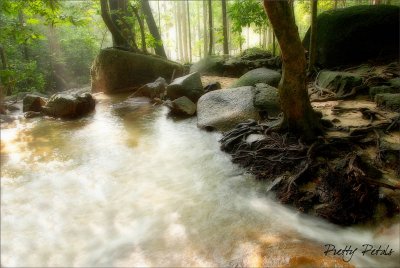 Flowing Water