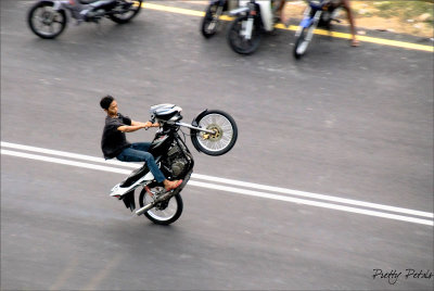 The Wild Mechanical Bike