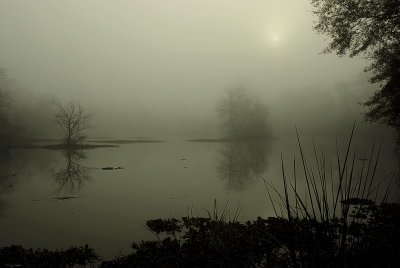 Crystal Lake Fog