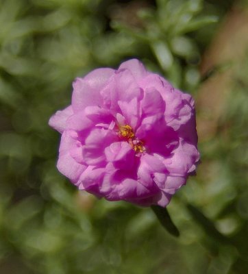 g6/50/596750/3/83034309.3zQLZD2Q.jpg