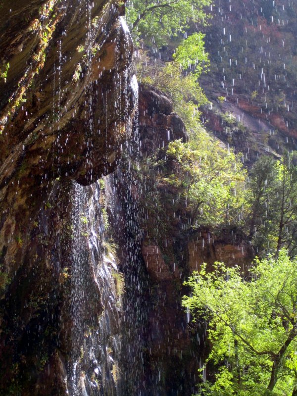 Zion/Weeping Rock