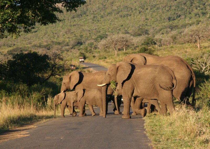 road block