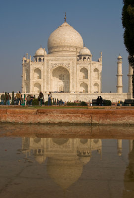 the Taj reflected