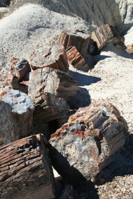 Petrified Forest/Crystal Forest