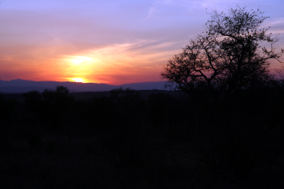 Kruger NP sunset