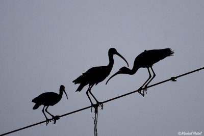 IMG_4352.jpg