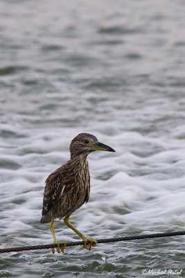 IMG_4327.jpg