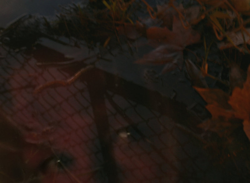 Through the Darkness