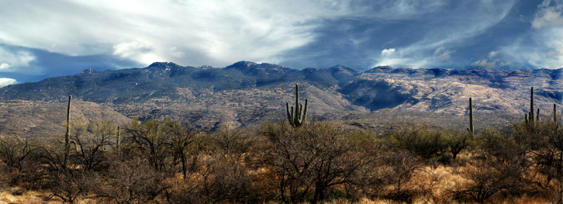 Saguaro National Park East  Panorama
