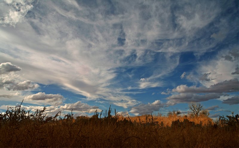 Open Sky