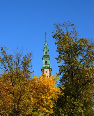 Jasna Gra