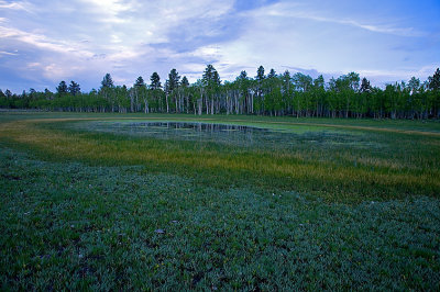 _MG_4178 web.jpg