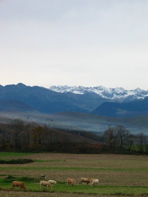 the Pyrenees