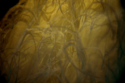 20070106 / soft
