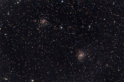 NGC6946 and  NGC6939 ED80