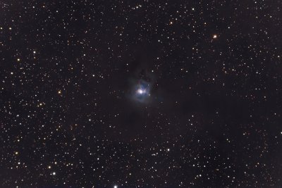 The Iris Nebula NGC7023