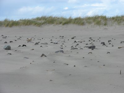 Cape Disappointment (March 07)