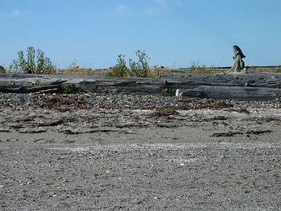 On the beach 2.jpg