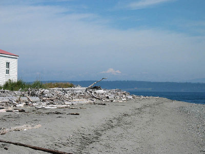 beach 2.jpg