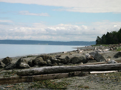 beach.jpg