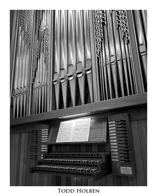 organ.pipes.jpg