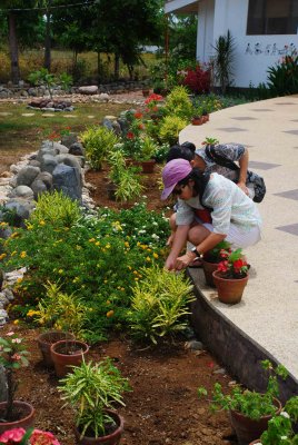 cecil repositioning plants to prevent goats from eating them!