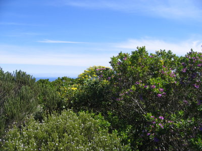 A nature lover will surely appreciate this place.