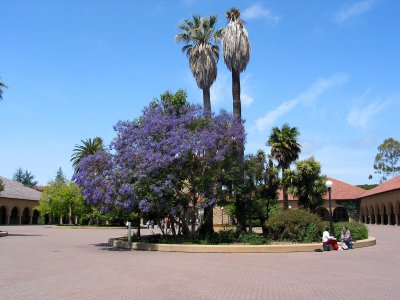 IMG_0023_web.jpg