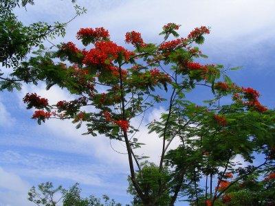 SanYa, Hainan