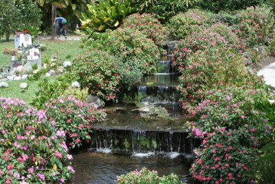 Prywatny ogrod hobbisty botanika, Boquete