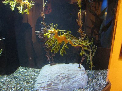 20070614_125950-S80.jpg