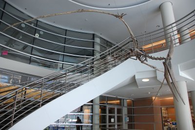 20070714_122100.jpg