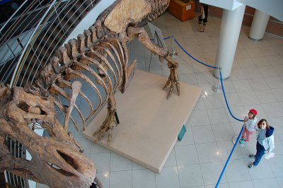 20070714_122119.jpg