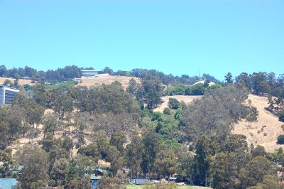 20070714_130912.jpg