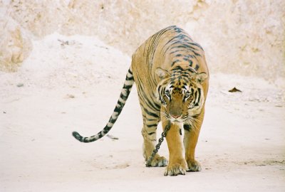 0741-07.jpg