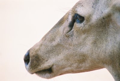 0741-33.jpg