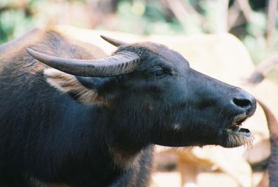 0741-37.jpg