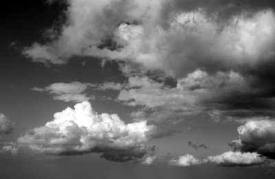PICT7668-bw1024.jpg